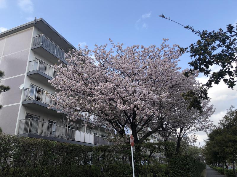 kimoさんの温泉旅館 由縁別邸 代田のサ活写真