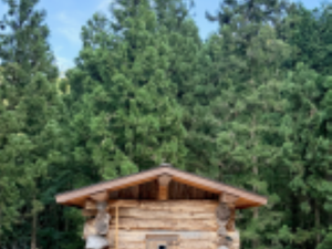 Kanzaki Sanga Sauna 写真