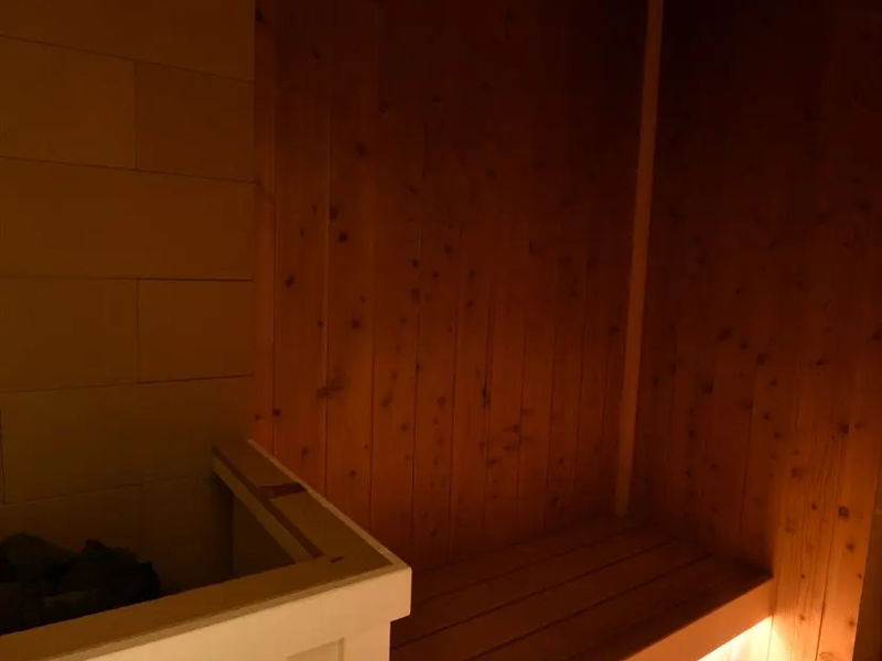 日進ホテル HOTEL COLLECTION サウナ室