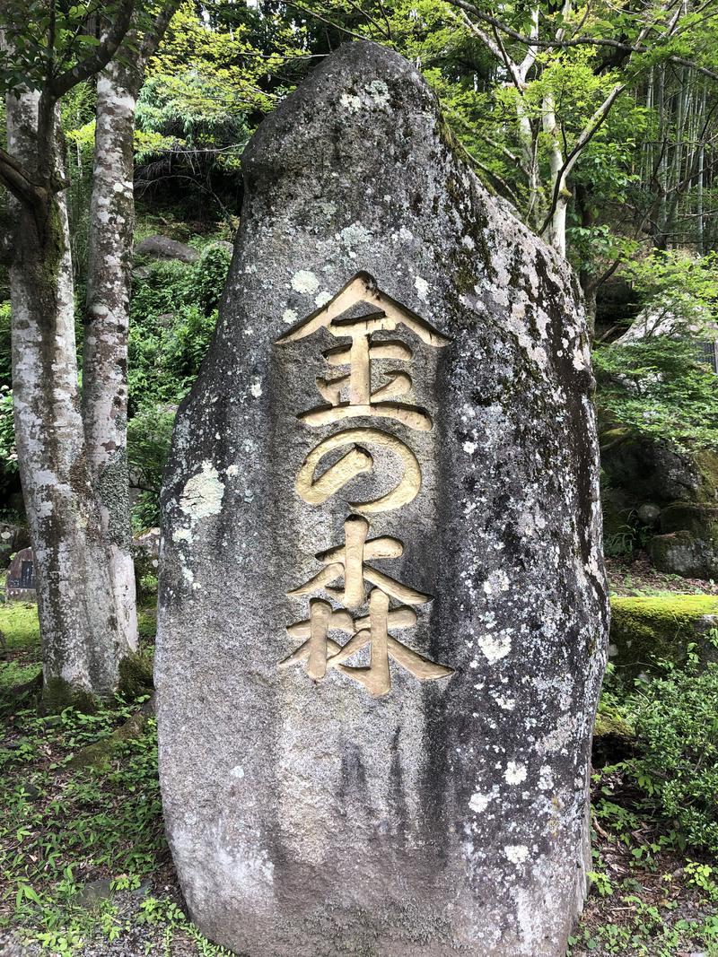 上ノ宮さんの金の森山荘のサ活写真