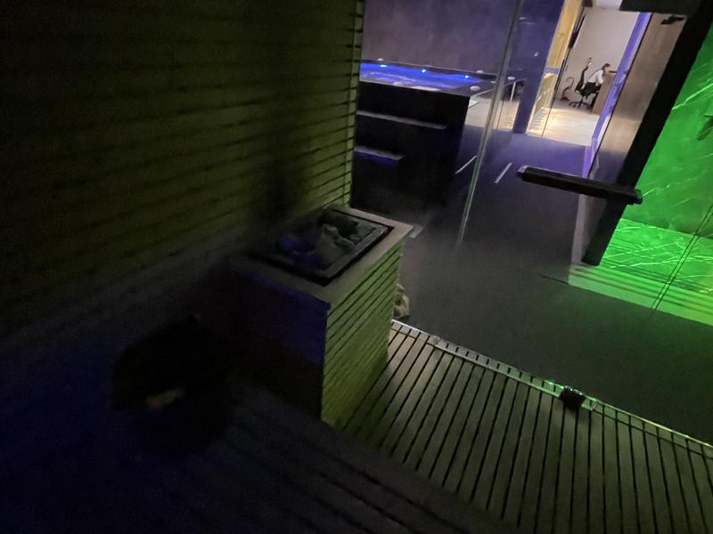 Hotel Elisa Tirana, Affiliated by Meliá サウナ室（フラッシュなし