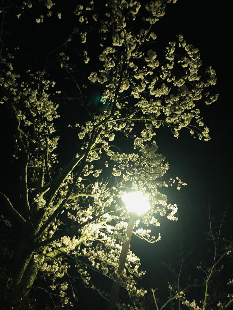 るいさんの志乎･桜の里温泉 古墳の湯のサ活写真
