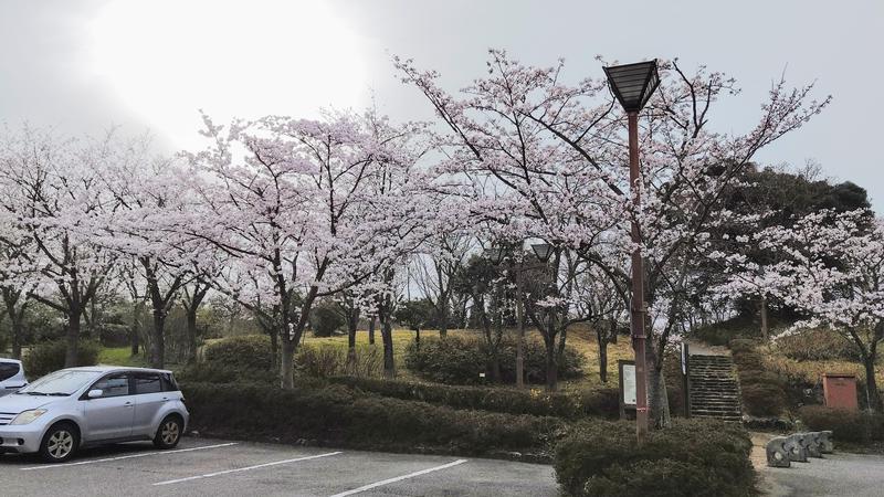 ユヅルさんの志乎･桜の里温泉 古墳の湯のサ活写真