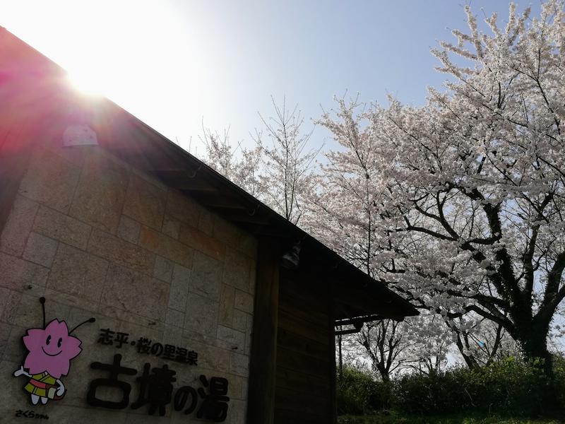 志乎･桜の里温泉 古墳の湯 写真ギャラリー3