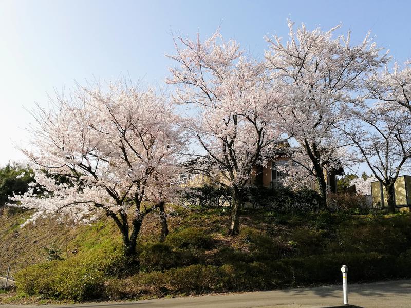 志乎･桜の里温泉 古墳の湯 写真ギャラリー1
