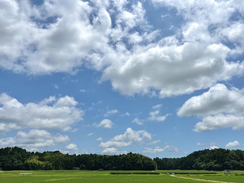 和っさうな 周辺環境