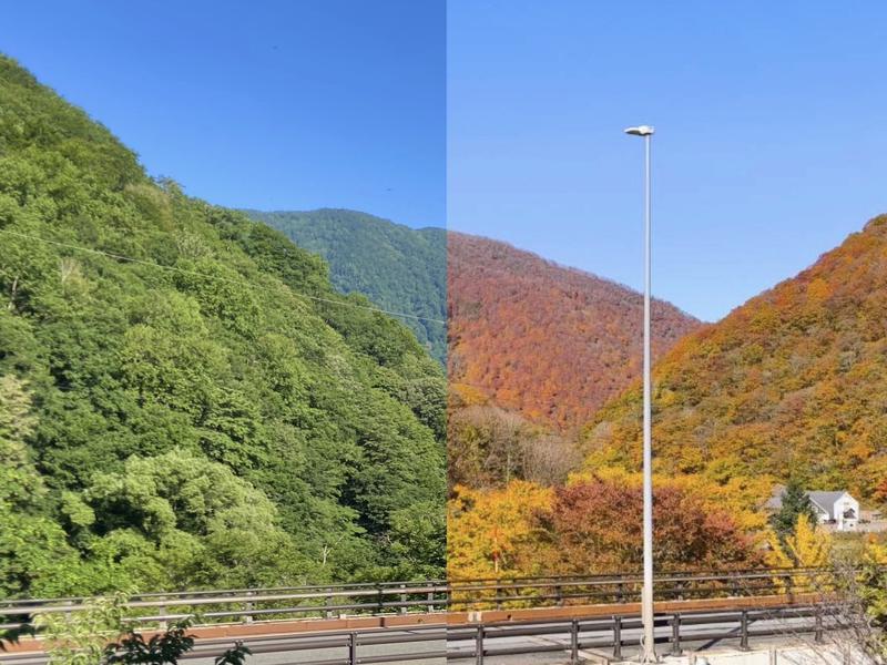 宿場の湯 新緑｜紅葉(スタッフ撮影)