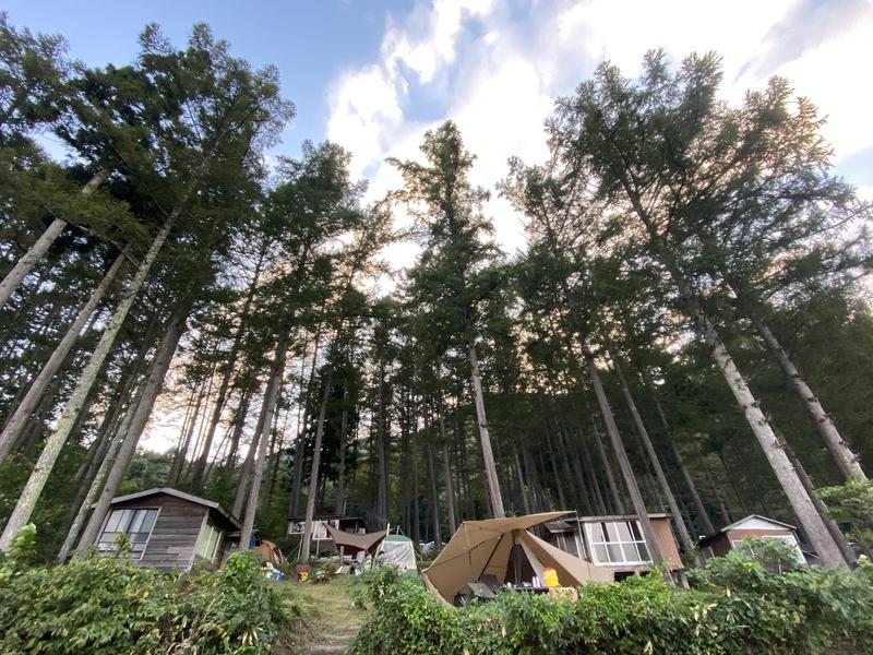 木崎湖POW WOW キャンプ場&アウトドアクラブ 森に囲まれたテントサイト
