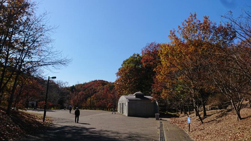 まささんの多摩境天然温泉 森乃彩のサ活写真