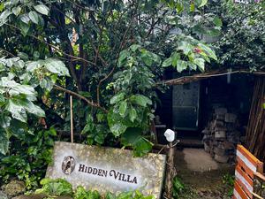 Hidden Villa 写真