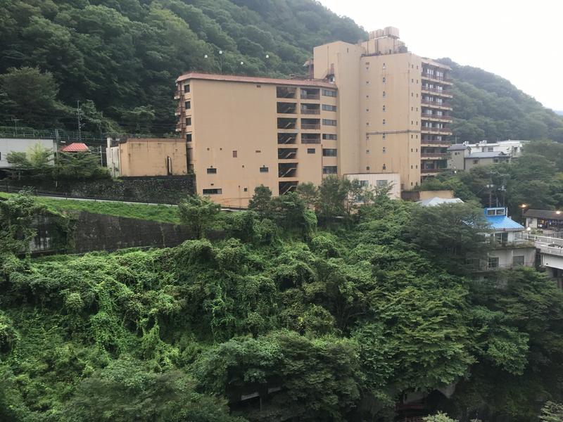 KAMI Keiさんの鬼怒川温泉ホテルのサ活写真