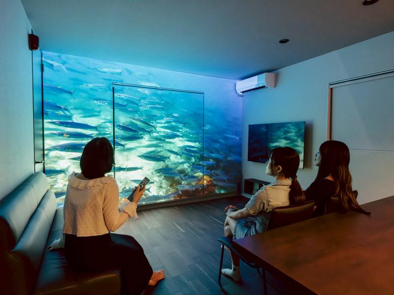 鴨川SeaSaunaVilla プロジェクター（任天堂Switch付き）