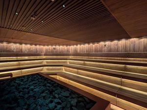 Arc Community - Sauna and Ice 写真
