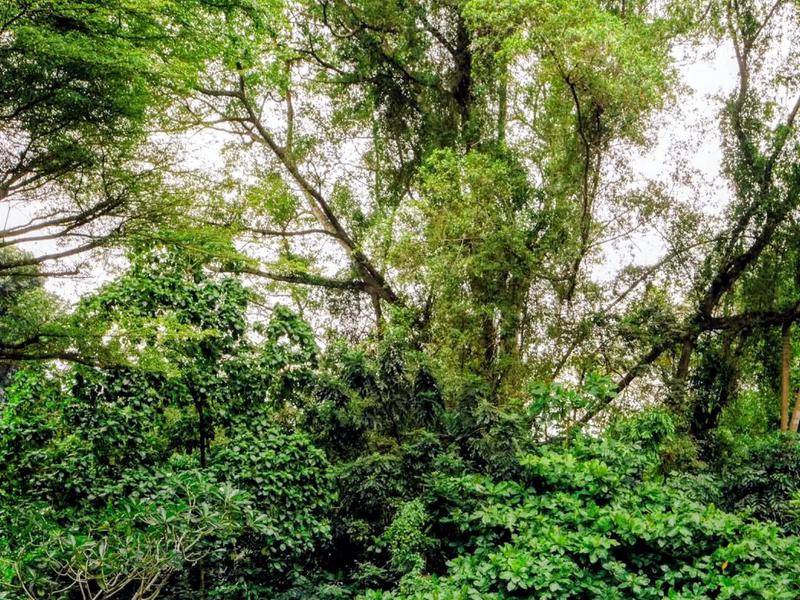 Nowhere Baths 公式インスタより