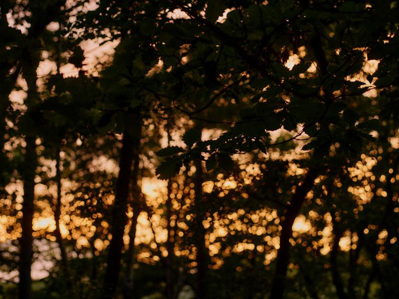 ist - Aokinodaira Field 「Hut -glow-」 西陽と八ヶ岳