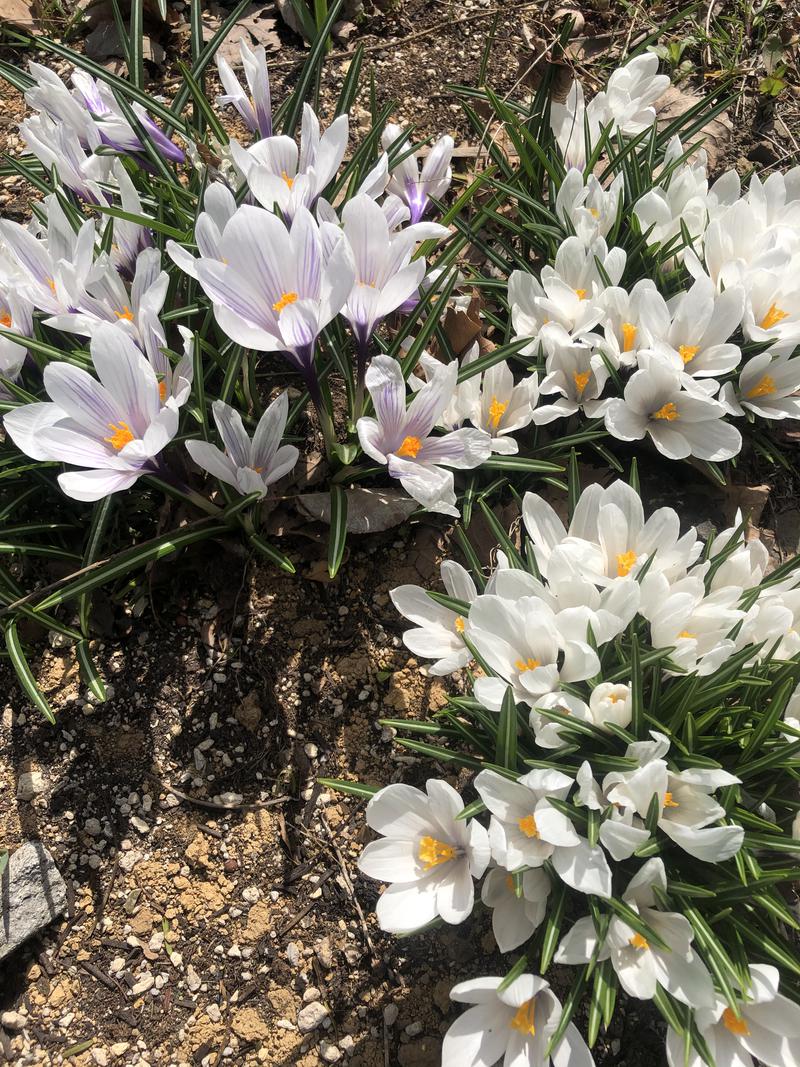 サライさんの吹上温泉保養センター 白銀荘のサ活写真