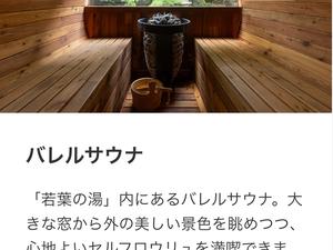 大江戸温泉premium松乃井 写真