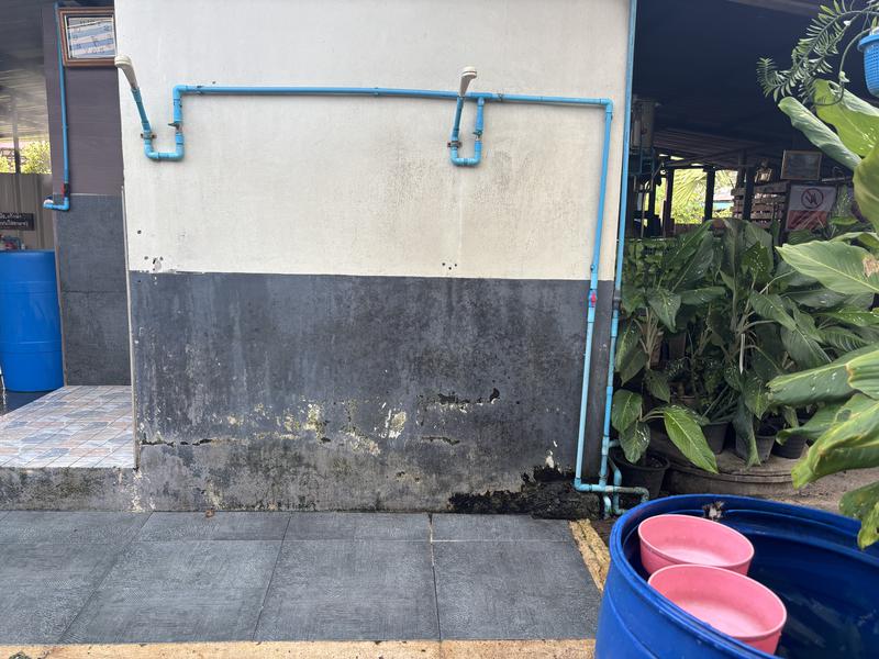 Wat Salatong Herbal Steam (ワット サーラートーン薬草スチームサウナ) シャワーと水がめ