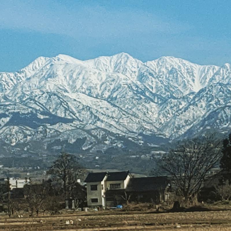 マツモトコウジ・モンキービーチさんの滑川市民交流プラザ あいらぶ湯のサ活写真