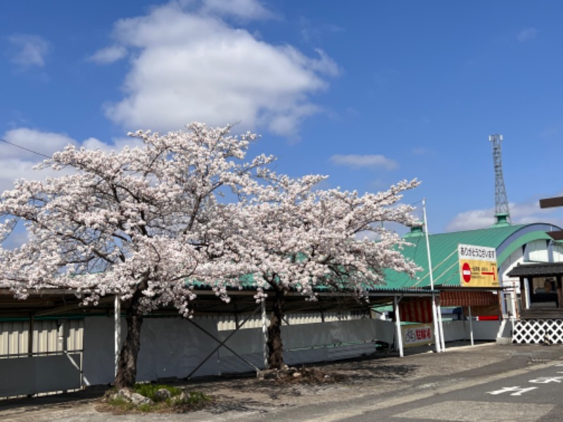 みつおさんのひばり温泉のサ活写真