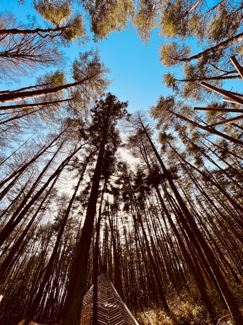 脳カレーさんのFOLKWOOD SAUNAのサ活写真