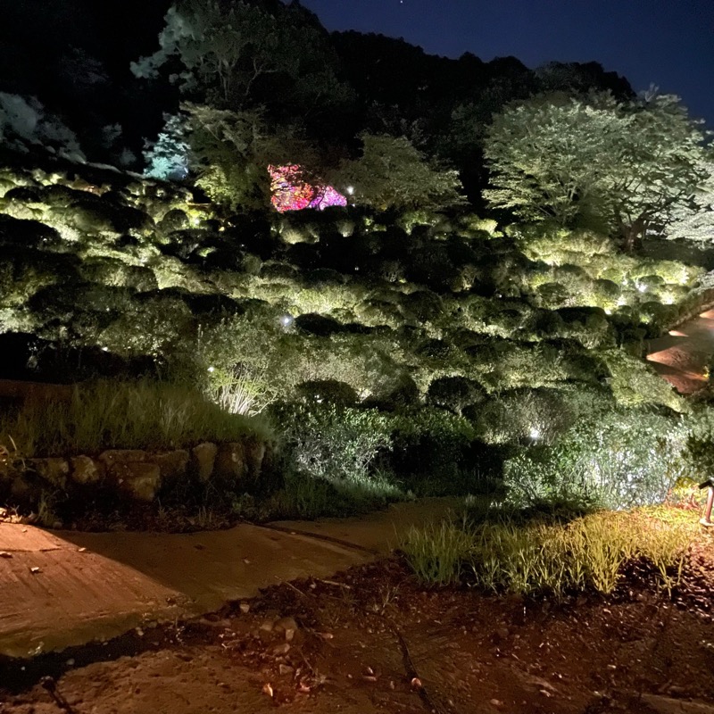 げしろうさんの御船山楽園ホテル  らかんの湯のサ活写真