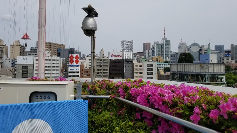 ネッパリアンさんの東京ドームホテル プールサイドサウナ Poonaのサ活写真