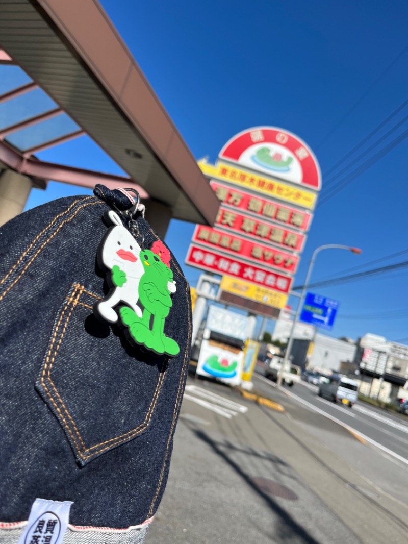ようすこうさんの湯乃泉 東名厚木健康センターのサ活写真