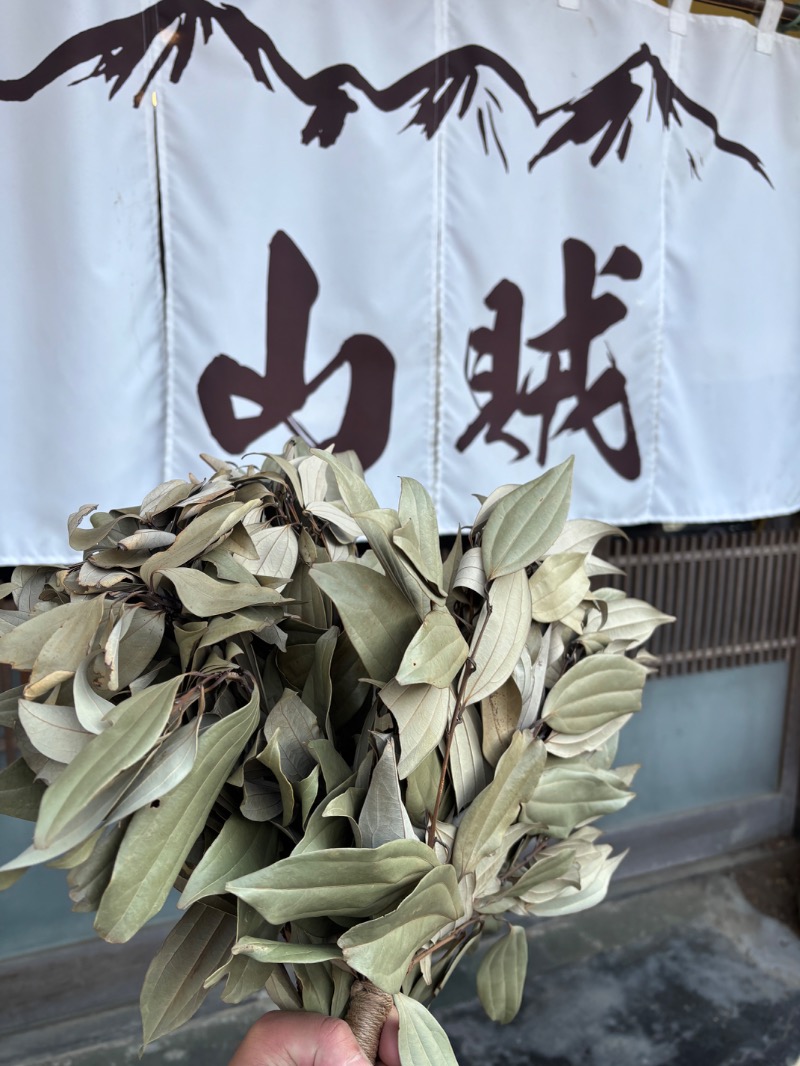 ようすこうさんの山賊サウナのサ活写真