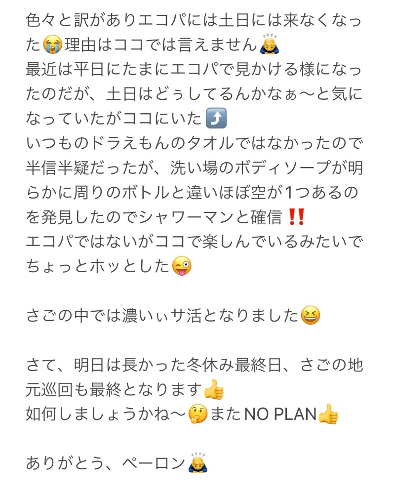 さごんださんの白龍城 ペーロン温泉のサ活写真