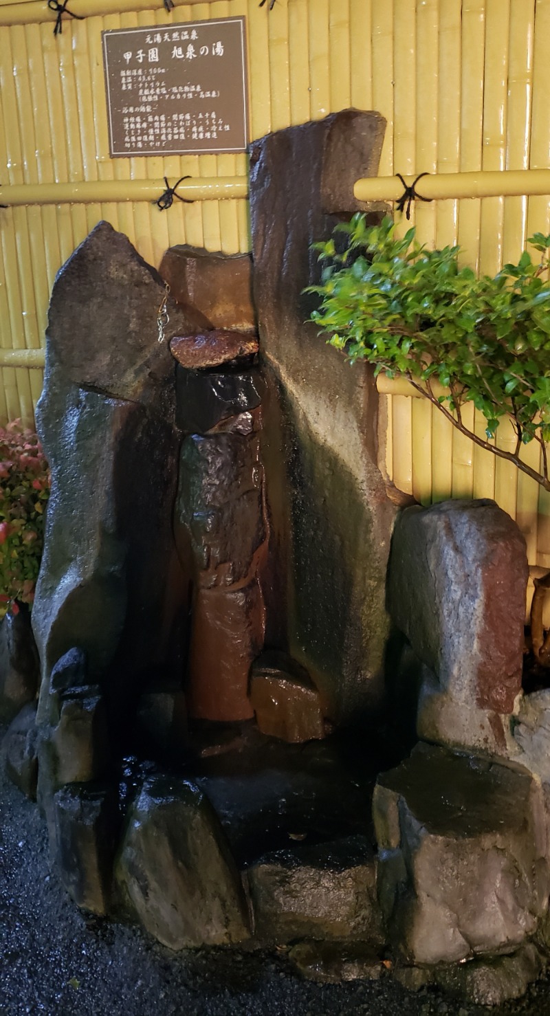 ビッグワンさんの浜田温泉 甲子園旭泉の湯のサ活写真