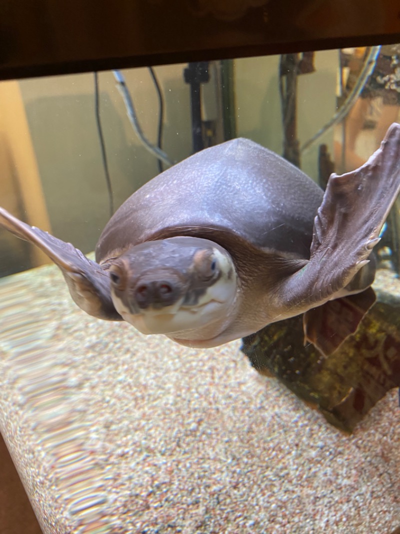 いたるさんの松本湯のサ活写真