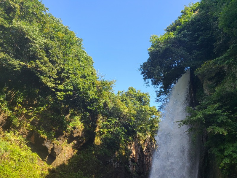 とりにくさんの比咩の湯のサ活写真