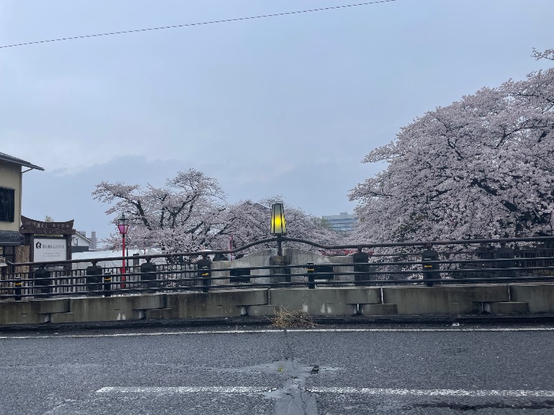 ひこにゃんさんの大垣サウナのサ活写真