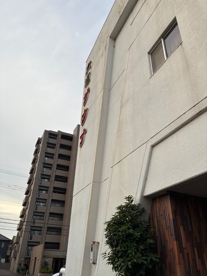 ひこにゃんさんの大垣サウナのサ活写真