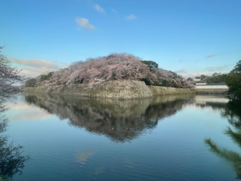 ひこにゃんさんの極楽湯 彦根店のサ活写真