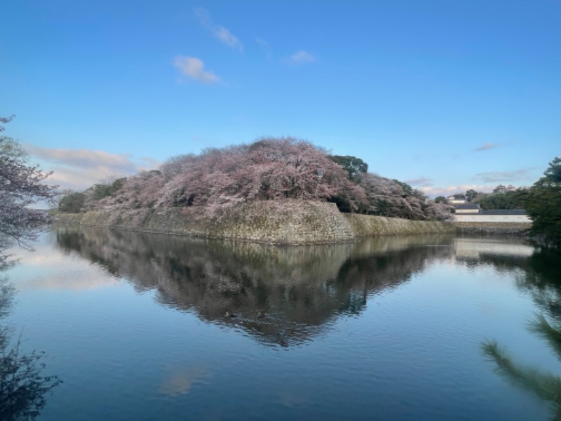 ひこにゃんさんの極楽湯 彦根店のサ活写真