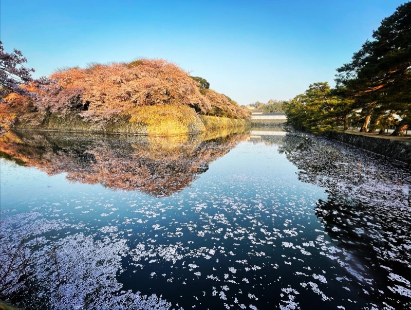 ひこにゃんさんの極楽湯 彦根店のサ活写真