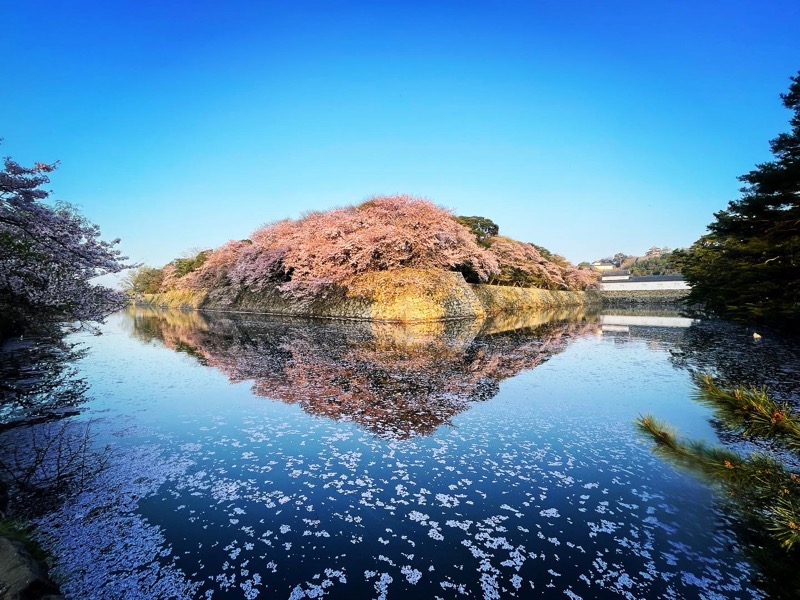 ひこにゃんさんの極楽湯 彦根店のサ活写真