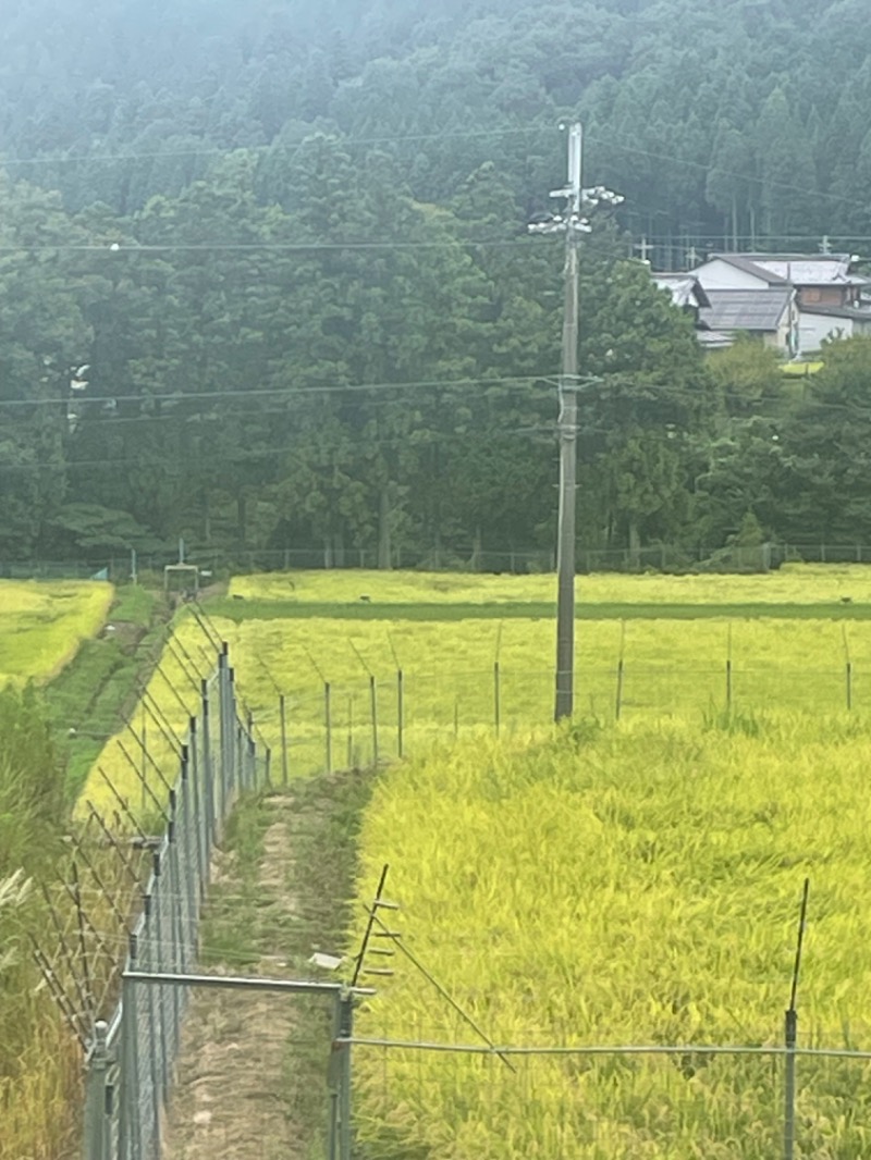 ひこにゃんさんのDOGA SAUNAのサ活写真