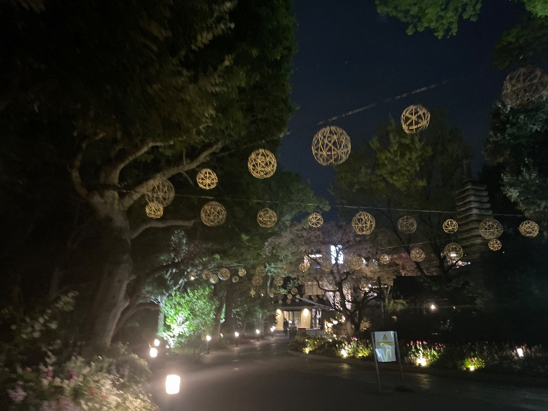 サウナ探訪ログさんのよみうりランド眺望温泉 花景の湯のサ活写真