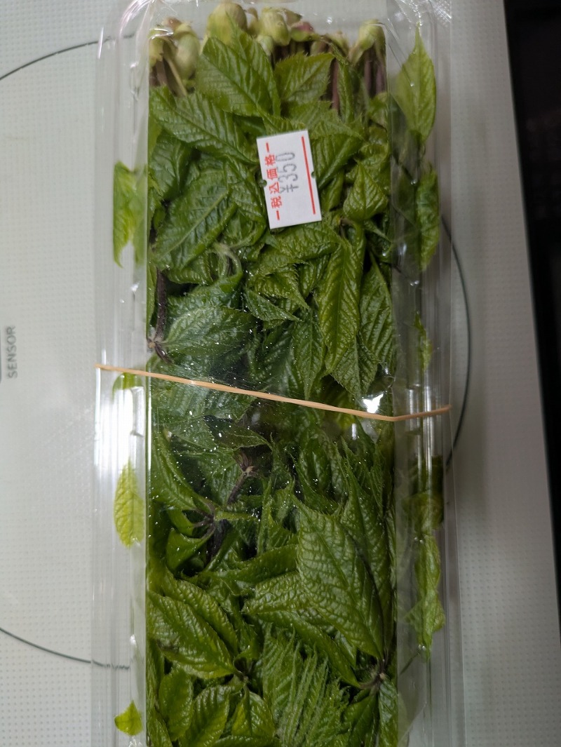 とっとさんの奥中山高原温泉 煌星の湯のサ活写真