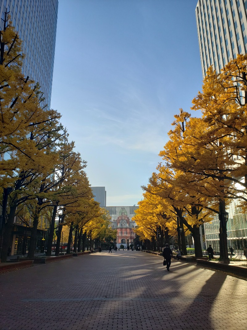 Kolbe3さんのホテル・アンドルームス札幌すすきののサ活写真