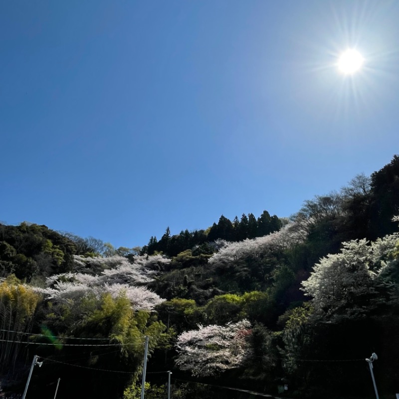 あちゃんさんのおふろcafe bijinyu | 美肌湯のサ活写真