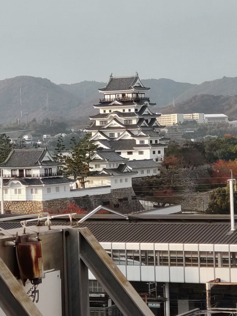 蒸しキチさんのカプセル&サウナ日本のサ活写真