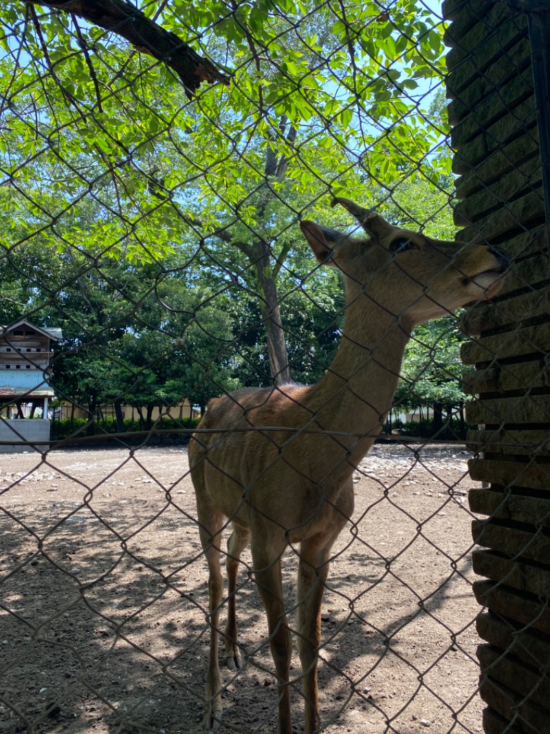 3735さんのゆうだい温泉のサ活写真