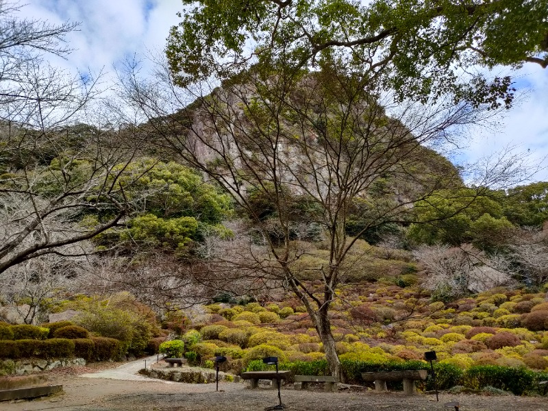 ryuさんの御船山楽園ホテル  らかんの湯のサ活写真