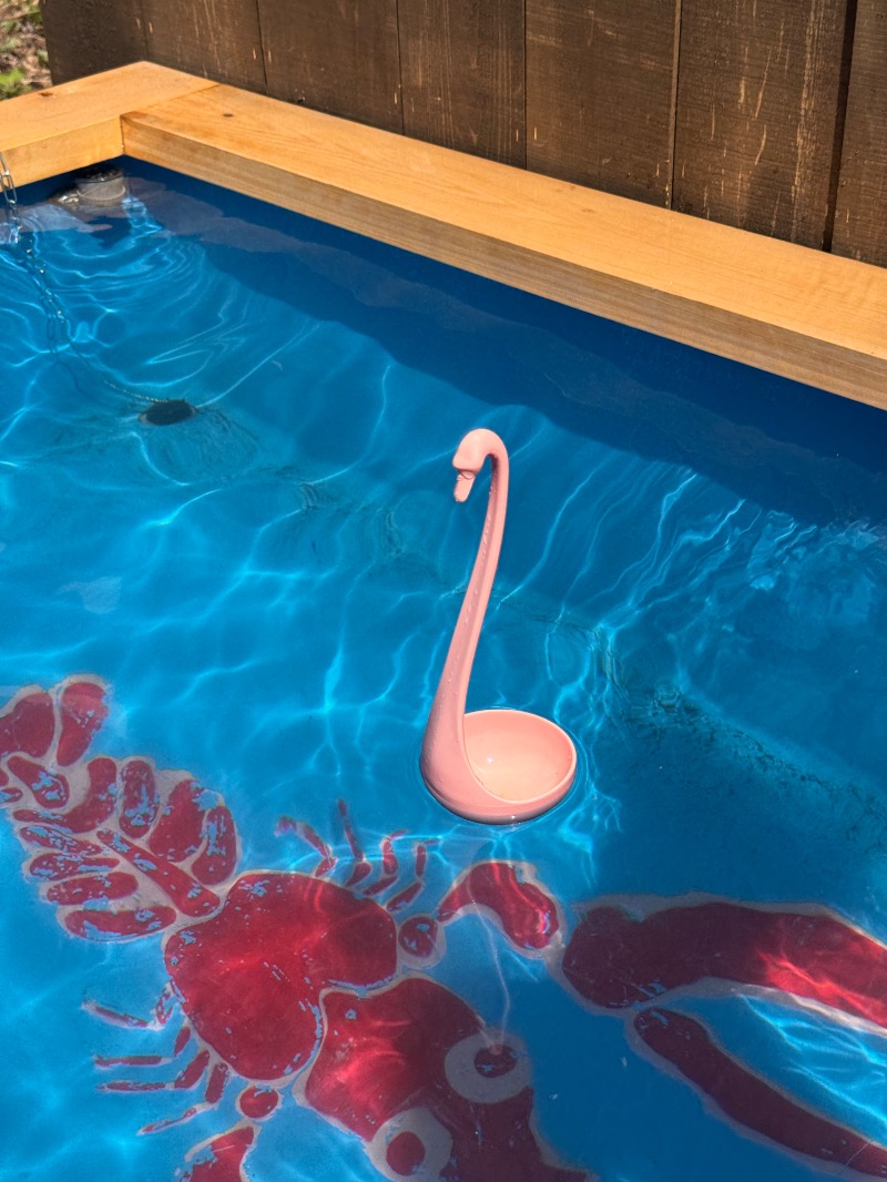 タマネギさんのしぇろくまサウナ&カフェのサ活写真