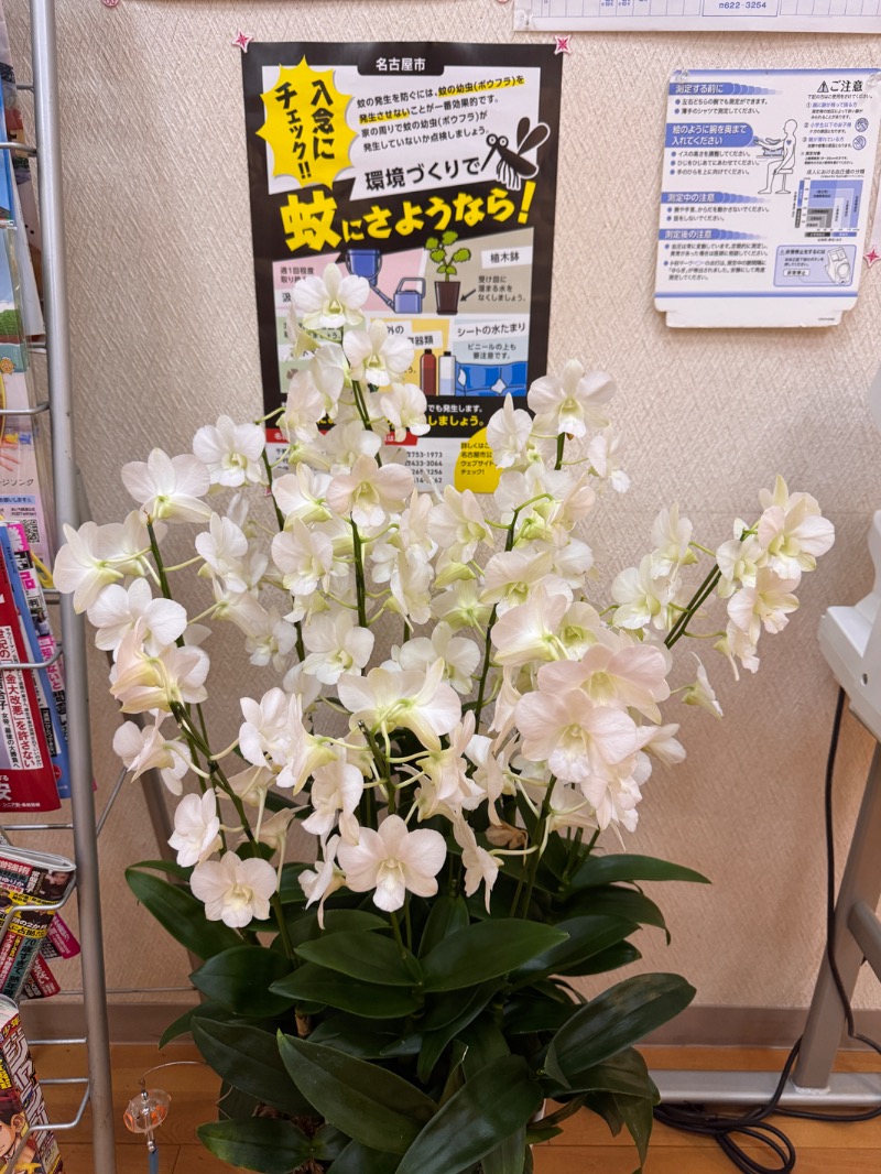 タマネギさんの鳴海温泉のサ活写真