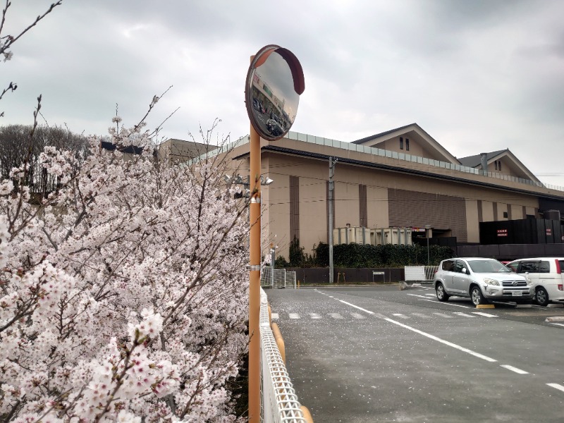 yukimi.Dさんの竜泉寺の湯 八王子みなみ野店のサ活写真